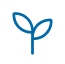 psichyatry