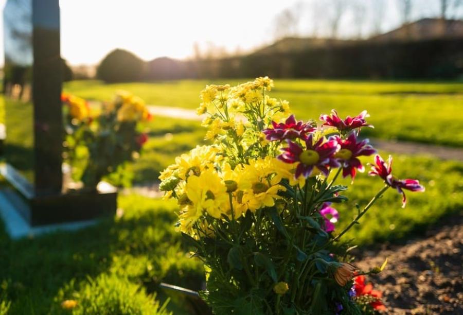 que significa exhumacion