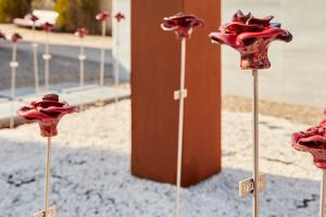 Amapolas roselles del Cementerio de Sant Just Desvern