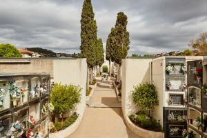 Pinos Sant Vicenç del Horts