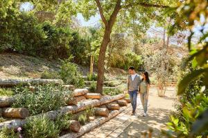 cementerio roques blanques