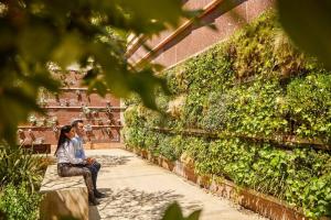 cementerio roques blanques