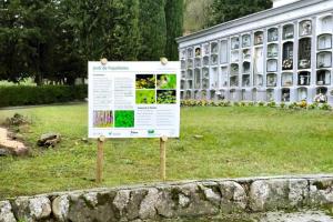 cementerio de ripoll