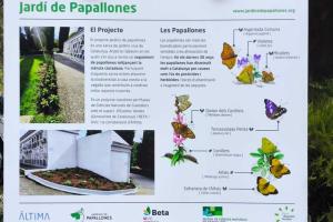 cementerio de ripoll