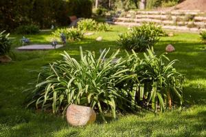 cementerio roques blanques
