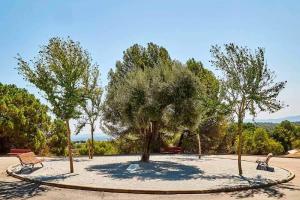 cementerio castellar del valles