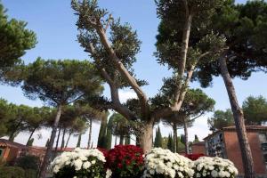 cementerio sant cugat