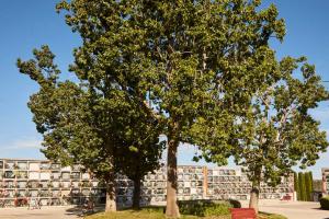 Cementerio Viladecans