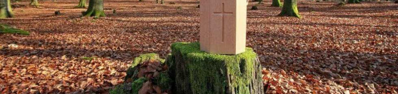 multa esparcir cenizas espana