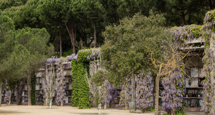 Cementerio Roques Blanques